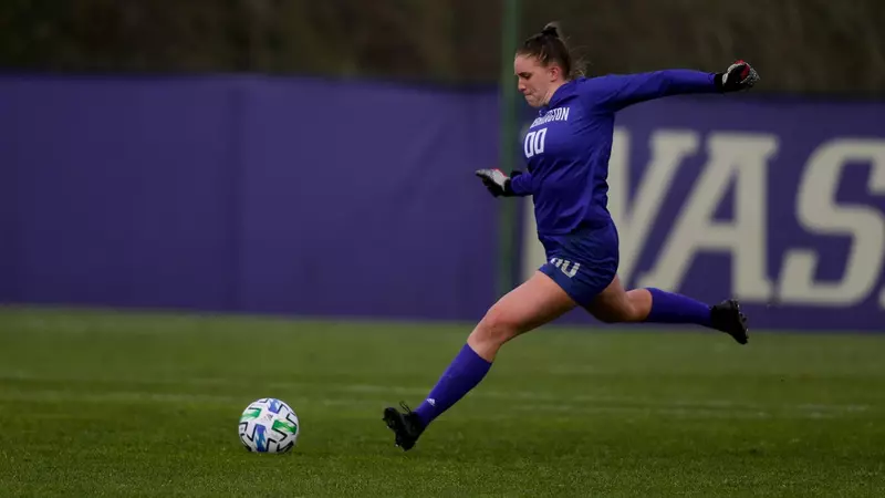 他们很可能 他们很可能